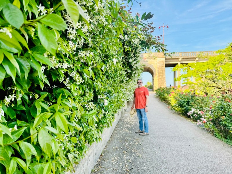 Back in Castillon-la-Bataille